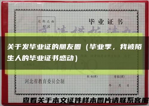 关于发毕业证的朋友圈（毕业季，我被陌生人的毕业证书感动）缩略图