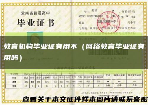 教育机构毕业证有用不（网络教育毕业证有用吗）缩略图