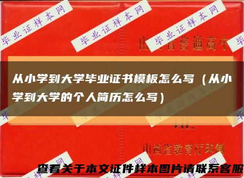从小学到大学毕业证书模板怎么写（从小学到大学的个人简历怎么写）缩略图