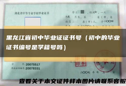 黑龙江省初中毕业证证书号（初中的毕业证书编号是学籍号吗）缩略图