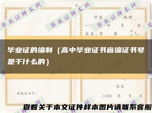 毕业证的编制（高中毕业证书省编证书号是干什么的）缩略图
