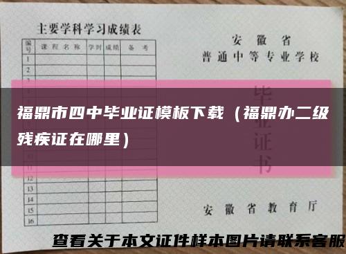 福鼎市四中毕业证模板下载（福鼎办二级残疾证在哪里）缩略图