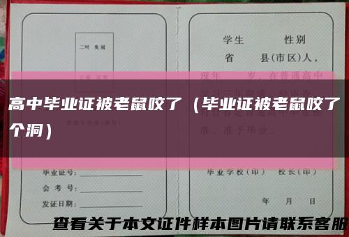 高中毕业证被老鼠咬了（毕业证被老鼠咬了个洞）缩略图
