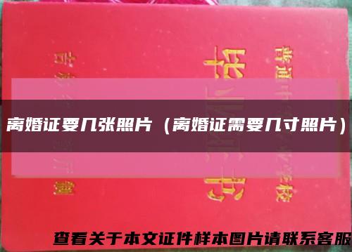 离婚证要几张照片（离婚证需要几寸照片）缩略图