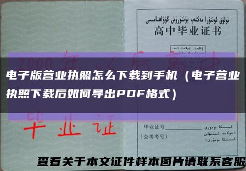 电子版营业执照怎么下载到手机（电子营业执照下载后如何导出PDF格式）缩略图