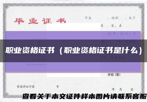 职业资格证书（职业资格证书是什么）缩略图