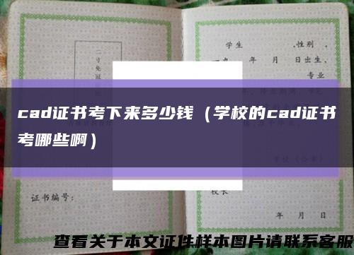 cad证书考下来多少钱（学校的cad证书考哪些啊）缩略图