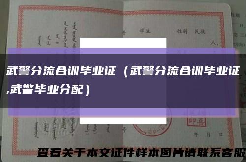 武警分流合训毕业证（武警分流合训毕业证,武警毕业分配）缩略图