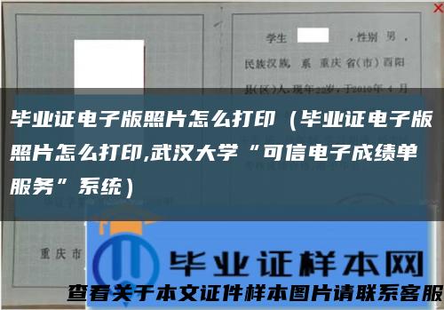 毕业证电子版照片怎么打印（毕业证电子版照片怎么打印,武汉大学“可信电子成绩单服务”系统）缩略图