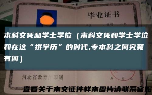 本科文凭和学士学位（本科文凭和学士学位和在这“拼学历”的时代,专本科之间究竟有何）缩略图