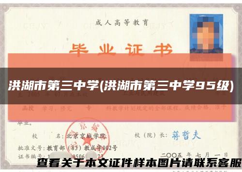 洪湖市第三中学(洪湖市第三中学95级)缩略图