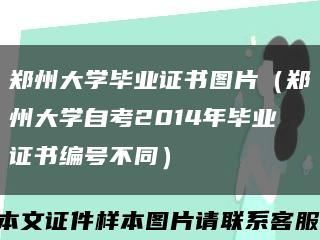 郑州大学毕业证书图片（郑州大学自考2014年毕业证书编号不同）缩略图
