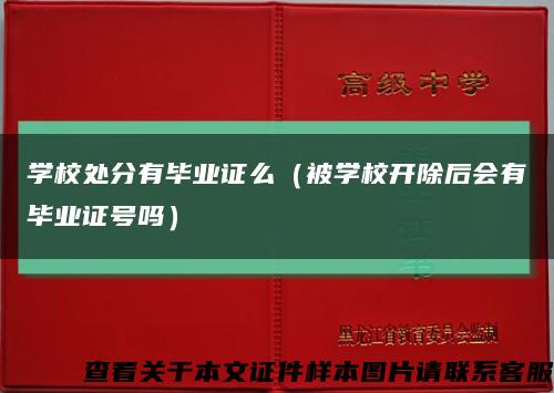 学校处分有毕业证么（被学校开除后会有毕业证号吗）缩略图