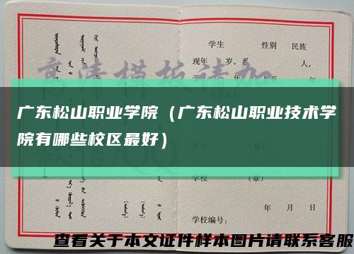 广东松山职业学院（广东松山职业技术学院有哪些校区最好）缩略图
