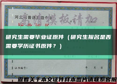 研究生需要毕业证原件（研究生报名是否需要学历证书原件？）缩略图