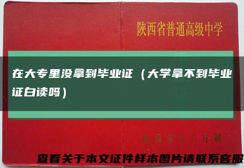 在大专里没拿到毕业证（大学拿不到毕业证白读吗）缩略图