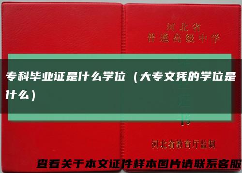专科毕业证是什么学位（大专文凭的学位是什么）缩略图