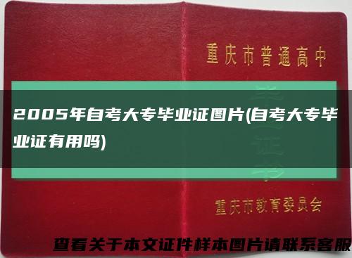 2005年自考大专毕业证图片(自考大专毕业证有用吗)缩略图