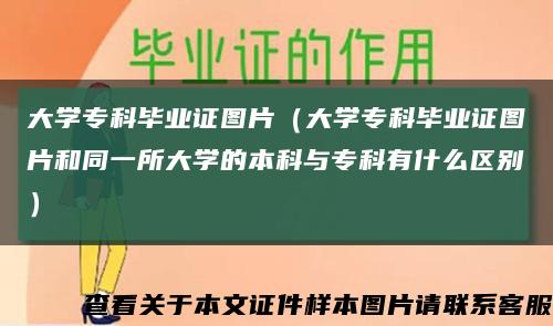 大学专科毕业证图片（大学专科毕业证图片和同一所大学的本科与专科有什么区别）缩略图