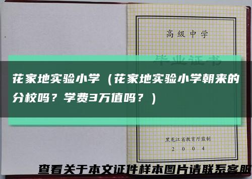 花家地实验小学（花家地实验小学朝来的分校吗？学费3万值吗？）缩略图