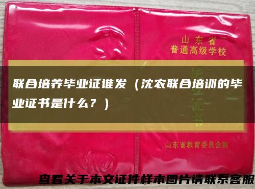 联合培养毕业证谁发（沈农联合培训的毕业证书是什么？）缩略图
