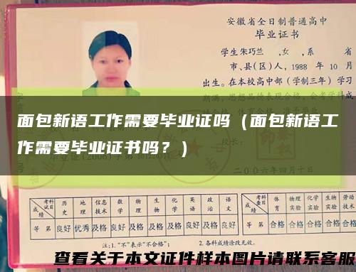 面包新语工作需要毕业证吗（面包新语工作需要毕业证书吗？）缩略图