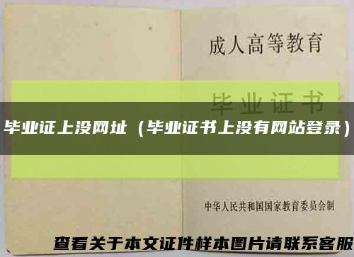 毕业证上没网址（毕业证书上没有网站登录）缩略图