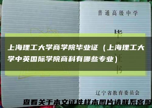 上海理工大学商学院毕业证（上海理工大学中英国际学院商科有哪些专业）缩略图