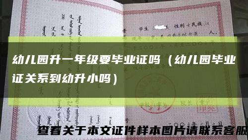 幼儿园升一年级要毕业证吗（幼儿园毕业证关系到幼升小吗）缩略图