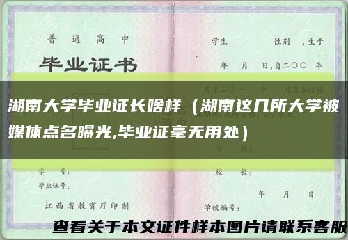 湖南大学毕业证长啥样（湖南这几所大学被媒体点名曝光,毕业证毫无用处）缩略图