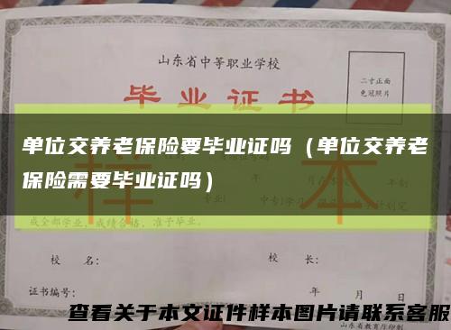 单位交养老保险要毕业证吗（单位交养老保险需要毕业证吗）缩略图