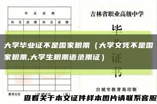 大学毕业证不是国家粮票（大学文凭不是国家粮票,大学生粮票语录票证）缩略图