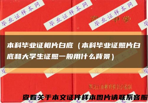 本科毕业证相片白底（本科毕业证照片白底和大学生证照一般用什么背景）缩略图