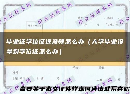 毕业证学位证还没领怎么办（大学毕业没拿到学位证怎么办）缩略图