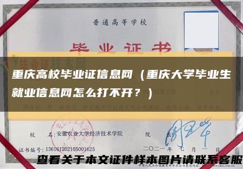 重庆高校毕业证信息网（重庆大学毕业生就业信息网怎么打不开？）缩略图