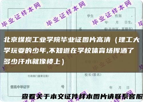 北京煤炭工业学院毕业证图片高清（理工大学玩耍的少年,不知道在学校体育场挥洒了多少汗水就像楼上）缩略图