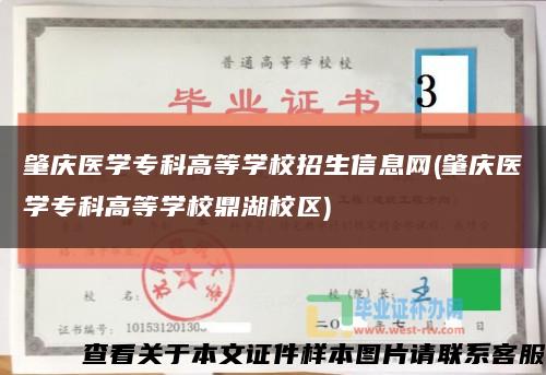肇庆医学专科高等学校招生信息网(肇庆医学专科高等学校鼎湖校区)缩略图