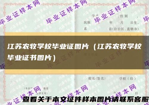 江苏农牧学校毕业证图片（江苏农牧学校毕业证书图片）缩略图