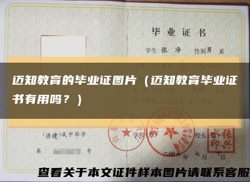 迈知教育的毕业证图片（迈知教育毕业证书有用吗？）缩略图