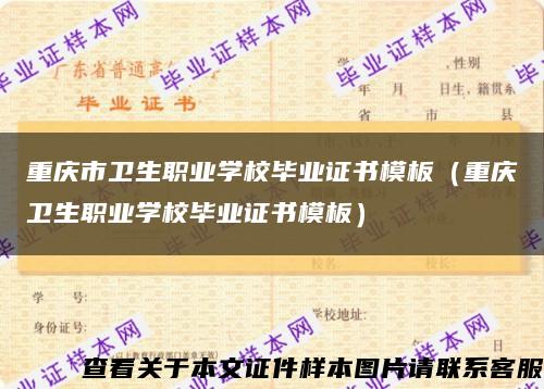 重庆市卫生职业学校毕业证书模板（重庆卫生职业学校毕业证书模板）缩略图