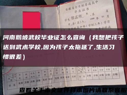 河南鹅坡武校毕业证怎么查询（我想把孩子送到武术学校,因为孩子太拖延了,生活习惯很差）缩略图