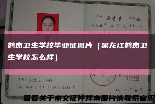 鹤岗卫生学校毕业证图片（黑龙江鹤岗卫生学校怎么样）缩略图