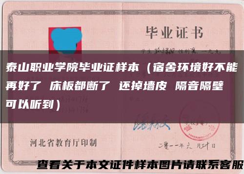 泰山职业学院毕业证样本（宿舍环境好不能再好了 床板都断了 还掉墙皮 隔音隔壁可以听到）缩略图