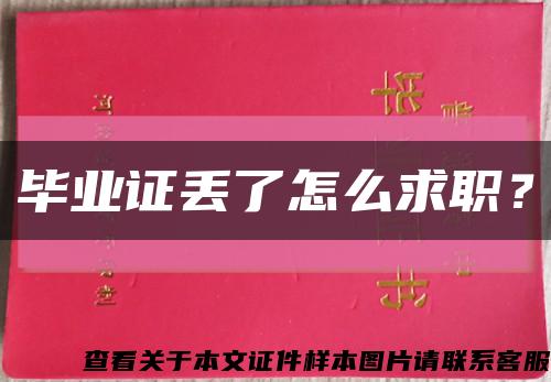 毕业证丢了怎么求职？缩略图