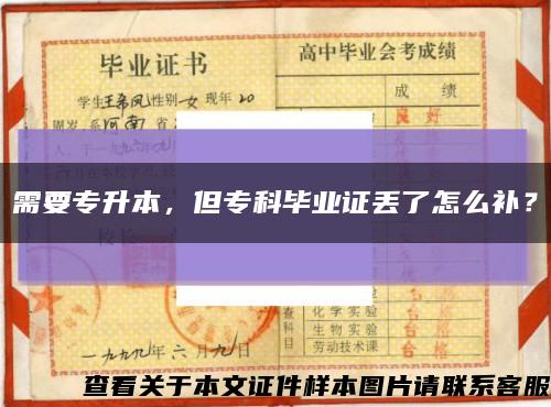 需要专升本，但专科毕业证丢了怎么补？缩略图