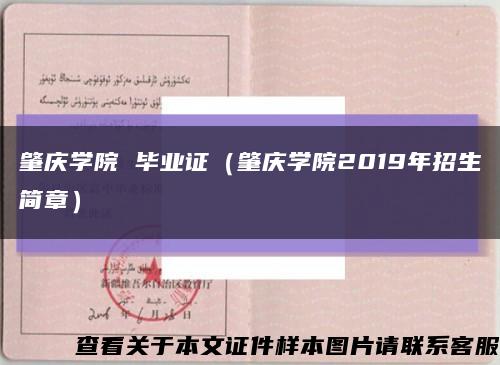 肇庆学院 毕业证（肇庆学院2019年招生简章）缩略图