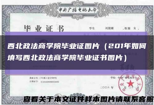 西北政法商学院毕业证图片（201年如何填写西北政法商学院毕业证书图片）缩略图