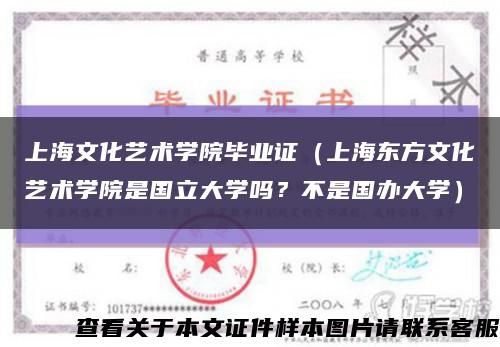 上海文化艺术学院毕业证（上海东方文化艺术学院是国立大学吗？不是国办大学）缩略图