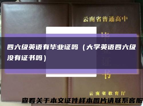 四六级英语有毕业证吗（大学英语四六级没有证书吗）缩略图