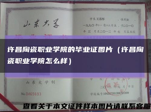 许昌陶瓷职业学院的毕业证图片（许昌陶瓷职业学院怎么样）缩略图